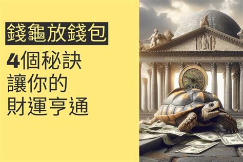 金龜擺放位置|錢龜放錢包：4個秘訣讓你的財運亨通